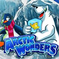 ArcticWonders